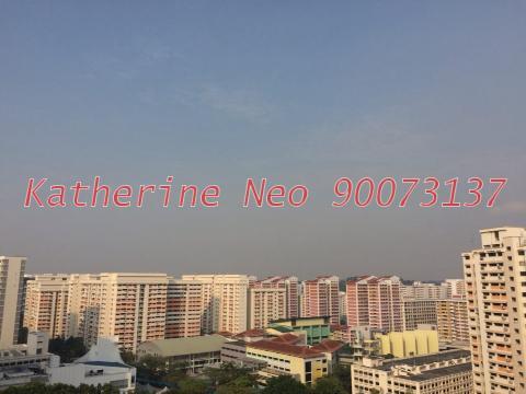 Blk 528 Jelapang Road (Bukit Panjang), HDB Executive #113815462